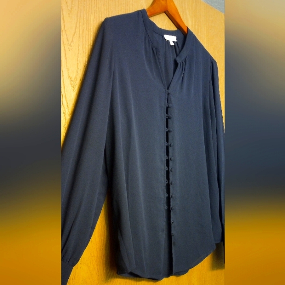 Alex & lili sheer navy blue blouse